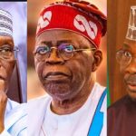 created by photogrid